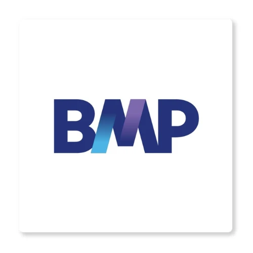 BMP Bank data management case study
